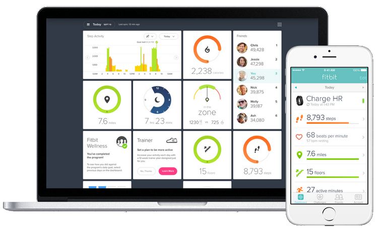 Fitbit App