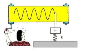 Neurophysiologie des Vibrationstrainings