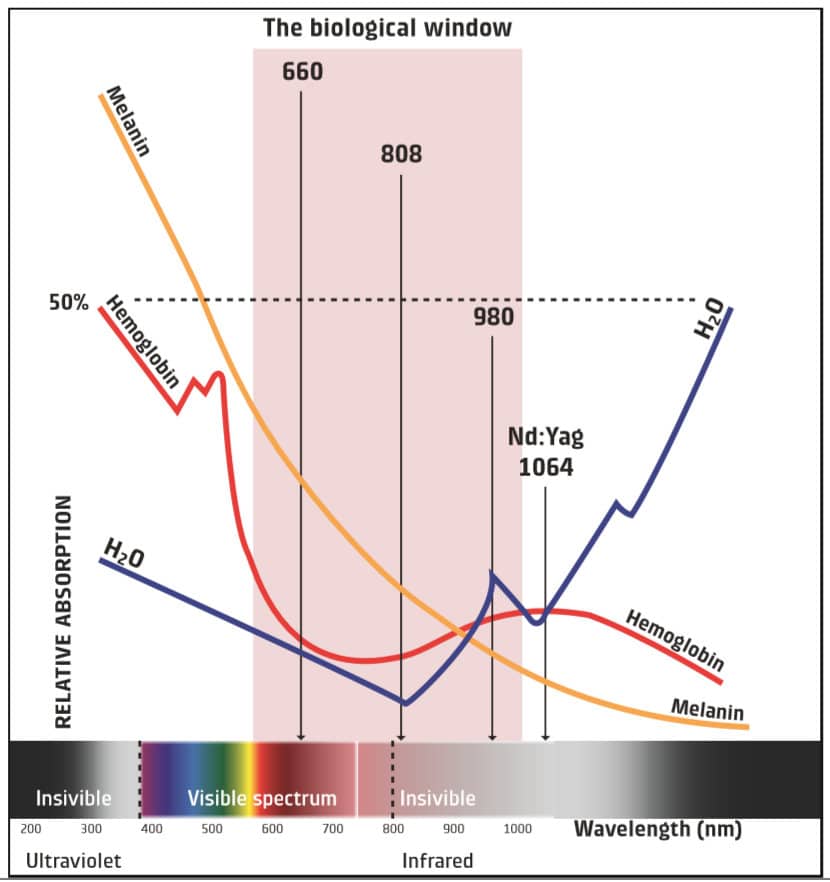 Biologisches Fenster bei einer Laserbehandlung