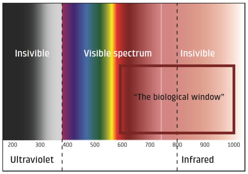 Lichtspektrum Laser