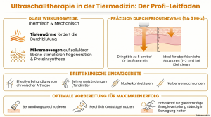 Ultraschalltherapie für Tiere - ein umfassender Leitfaden für Tierärzte